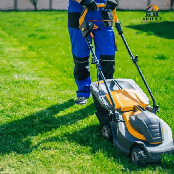 Professioneller Hausmeisterservice in Essen – Amien.T bei der Gartenarbeit